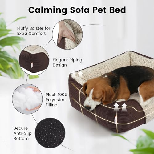 Miguel Washable Cat Beds for Indoor Cats with Removable Cushion, Easy to Wash Small Pet Sofa Bed with Side, Rectangle Bolster Kitten Bed Cuddle Puppy Bed, Anti-Slip Bottom, Lit Chat, Brown 51CM - Image 5