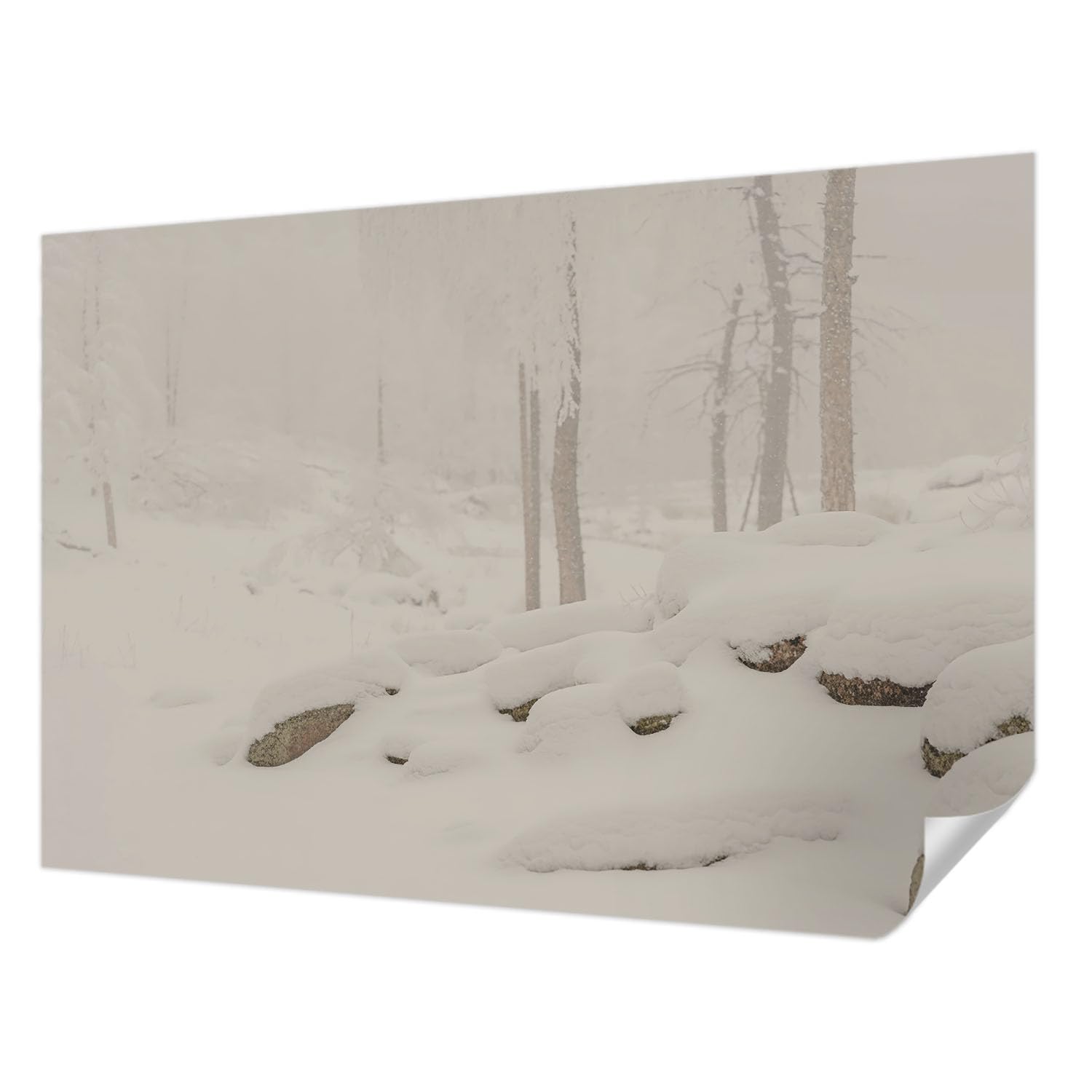 Fotomural adhesivo bosque nevado cubre imperfecciones vinilo lavable de pared 152x104 cm salon