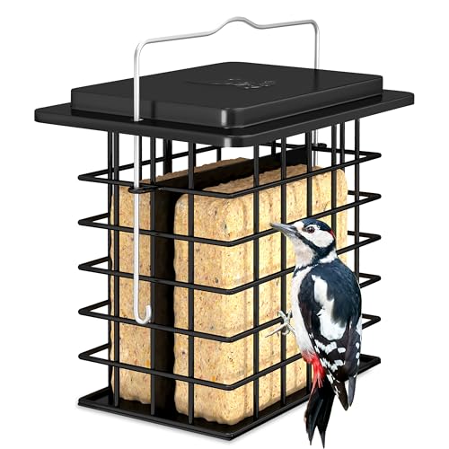 iBorn Double Suet Feeder for Outside Hanging,Weatherproof Suet Feeders,Suet Holder with Taller Grid for Woodpecker, Suet Cage Bird Feeders for Outdoors,Easy to Clean & Refill,All Metal,Black