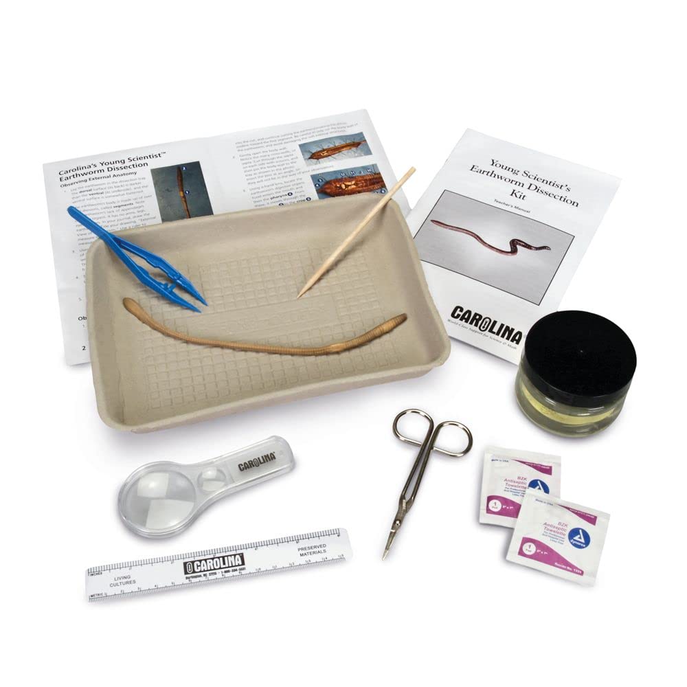Carolina's(r) Young Scientist(tm) Earthworm Dissection Kit, Materials For 1-2 Students