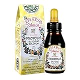 Google Scholar Api,,, Google Scholar Api,,,