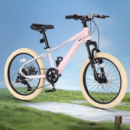 子供 自転車 20インチ 子ども用自転車 20インチ マウンテンバイク MTB ダブルディスク