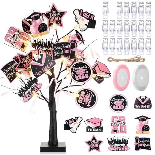 CroBlissful Money Tree Gift Holder Black Tree Pink White Ribbon