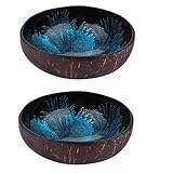 Angoily 2 Piezas Decorativos Cuencos de Coco para Llaves Mesa de Entrada, Cuencos Decorativos para Dulces para...