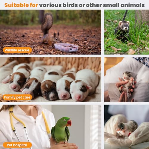 Image of Bird brooder Bird Incubator