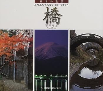 Tankobon Hardcover ????? ? (SUIKO BOOKS) Book