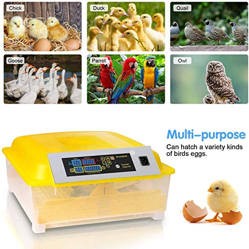 Oppikle 48 Eier Intelligentes digitales Brutmaschine Brutkasten mit LED Temperaturanzeige und Feuchtigkeitsregulierung,Inkubator Vollautomatische Brutmaschine – Bild 6