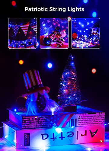 Image of Brightown 4th of July Decor Patriotic Fairy Lights, 7 FT. Silver Wire Red White Blue String Lights, Firefly Starry Moon Lights, Micro LED Mini Fairy Lights for Jars DIY Picture Wedding
