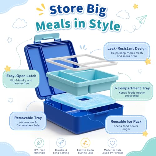 Kids Bento Lunch Box with Insulated Tumbler