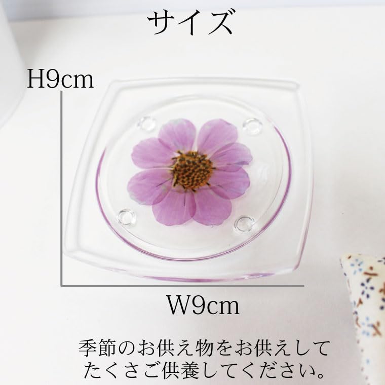 【新品】小さいビオラセット①　383ｍｍ 新品】小さいビオラセット① 383mm 楽天市場】ビオラ（ビオラ