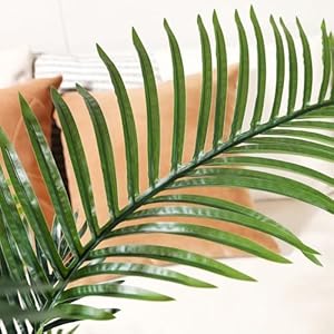 Artificialpalmtree6fttallfakeplantwithwhiteplanterfauxtropicalpalmtreefakemossforindoorhomedecorofficelivingroomfrontporchpatio Urban Country Home Decor Artificial palm tree 6ft tall fake plant with white planter faux tropical palm tree fake moss for indoor home decor office living room front porch patio urban country home decor