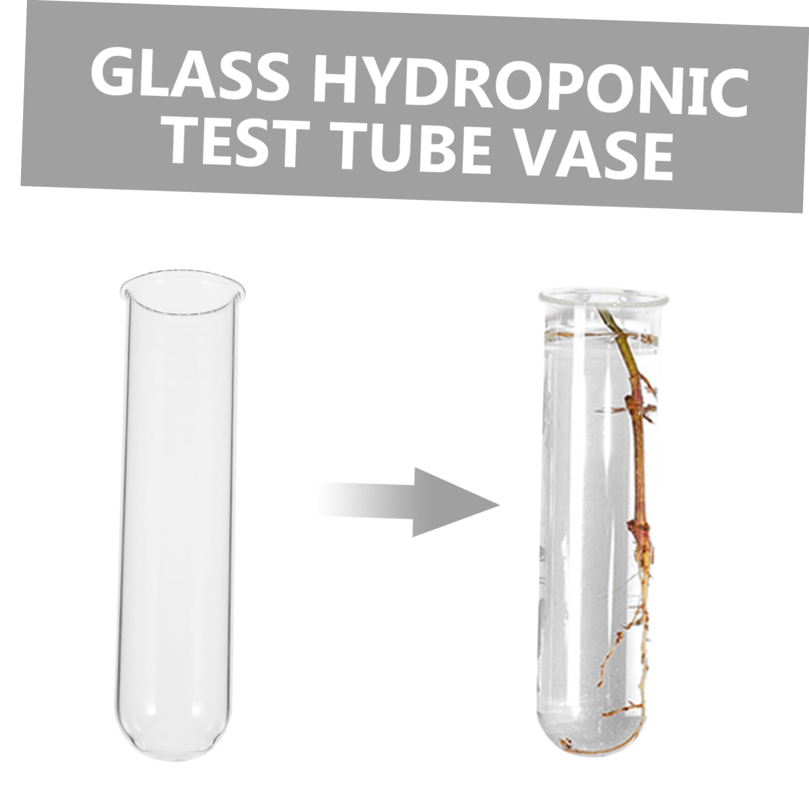 Alipis 16pièces Vase Hydroponique pour Éprouvettes De Propagation Support Élégant pour Terrarium Décoratif pour Plantes Intérieur