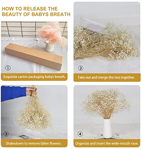 Dried-Babys-Breath-Flowers-Bouquet-17 inch 2000+ Ivory White Flowers, Natural Gypsophila Branches for Wedding, DIY Home Party Decor, Table Vase Decor for Parents, Friend, Children (3oz)