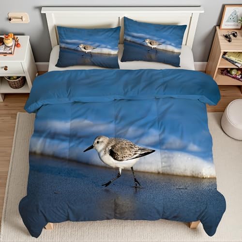 Piumino Matrimoniale Mare Trapunte Piro Piro Tridattilo Piumone Imbottito Resistente Lavabile, Super Morbida Trapunta, piumini 220x240 cm in Microfibra Reversibile e 2 Federa 50x80 cmT1097