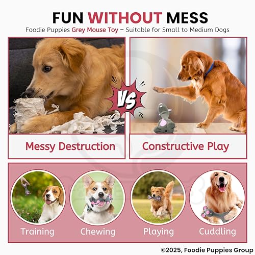 Image of Foodie Puppies Squeaky Latex Dog Toy for Small Dogs & Puppies | Grey Mouse Shape | Durable, Soft & Safe | Fun Chew, Fetch & Play Toy | 14cm | Interactive Animal Design with Cotton Filling