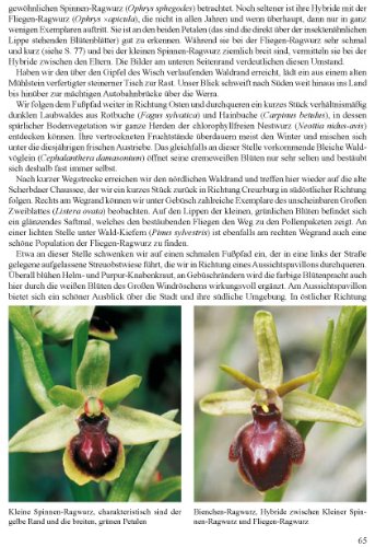 Orchideen-Wanderungen in Thüringen: Weg- und Artenbeschreibungen sowie Wanderkarten