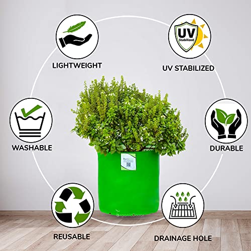 ORGANIC BAZAR 12"x12" Grow Bag for Home Garden | HDPE 260 GSM Premium Green Planter (Pack of 10)