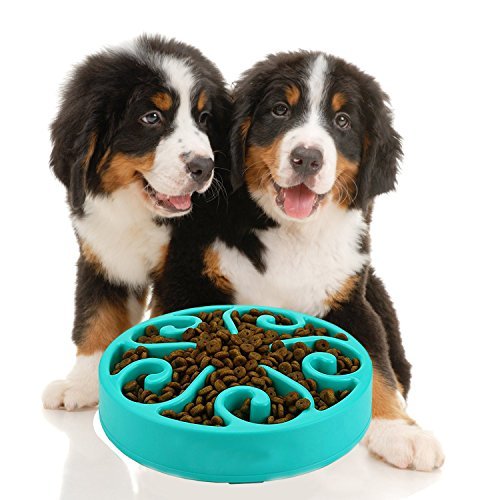 EatronChoi - Cuenco de Comida Antideslizante para Mascotas, con Forma de Laberinto