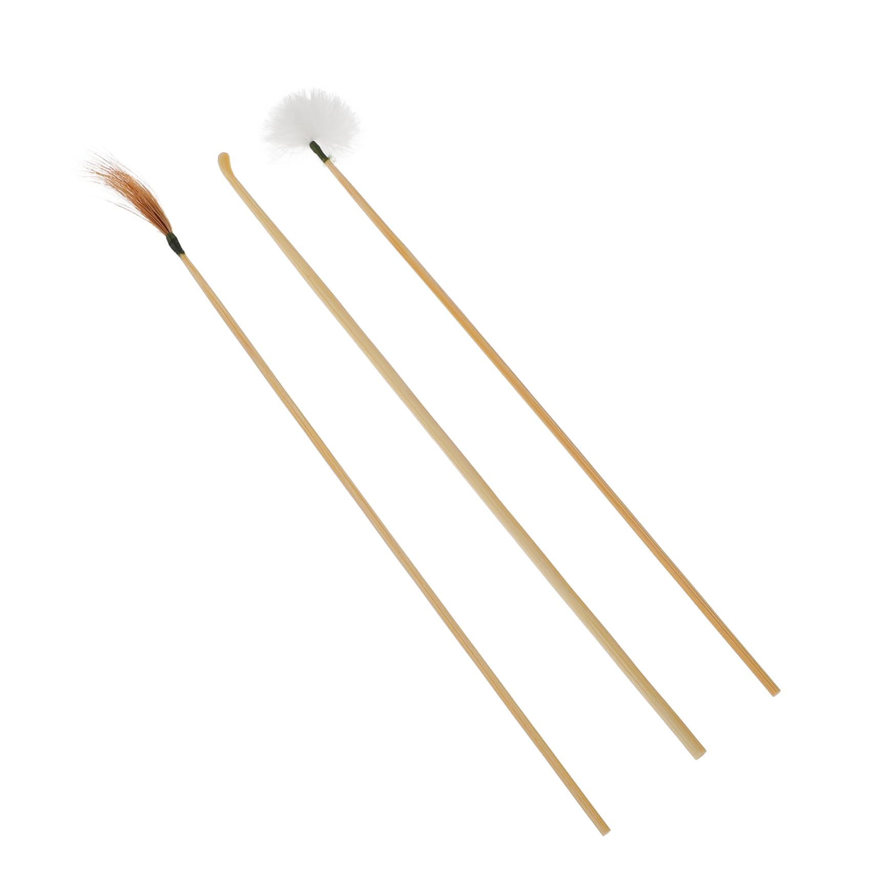 Anneome 3pcs Ear Picking Tool Ear Ear Picks Ear Cleaning Spoon Limpiador De Ear Wax Tool Cleaning Tools for Ear Cleaning Supplies Kit Goose