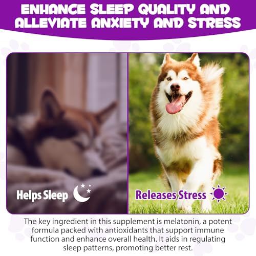 Dog-Melatonin-Melatonin-for-Dogs-Dog-Melatonin-for-Small-Dogs-Cat-Melatonin-Anxiety-Stress-Relief-Promote-Relaxation-Deep-Sleep-for-Cat-Dog Dog Melatonin Melatonin for Dogs Dog Melatonin for Small Dogs Cat Melatonin Anxiety Stress Relief Promote Relaxation Deep Sleep for Cat Dog