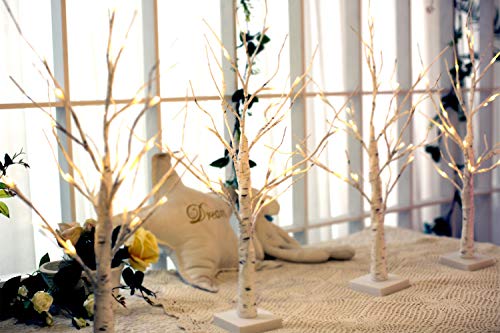 Eambrite DCD010B Lighted Birch Tree For Christmas Decor, Table Decorations Indoor, 2Pack 24 Led Battery Operated/Usb Tabletop Mini Artificial White Trees thumb #6