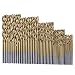 Dolland 50Pcs Titanium Coated HSS High Speed Steel Drill Bit Set Tool 1/1.5/2/2.5/3mm