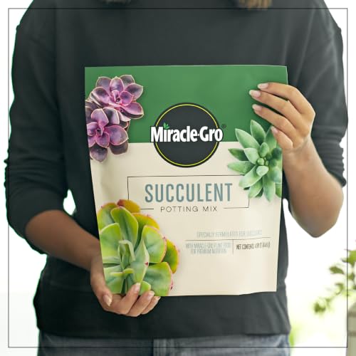 Miracle-Gro Succulent Potting Mix, 4 qt. (2-Pack) - image 2