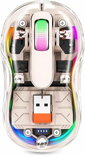 Wireless Mouse, Dual Mode Bluetooth & 2.4GHz, Transparent RGB, Rechargeable Type-C, Silent Click, Adjustable DPI for Laptop, PC, Mac
