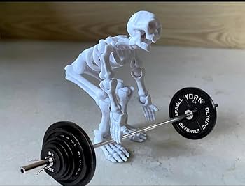 Amazon.com: QWZFirst T13 Skeleton Action Figure, Movable
