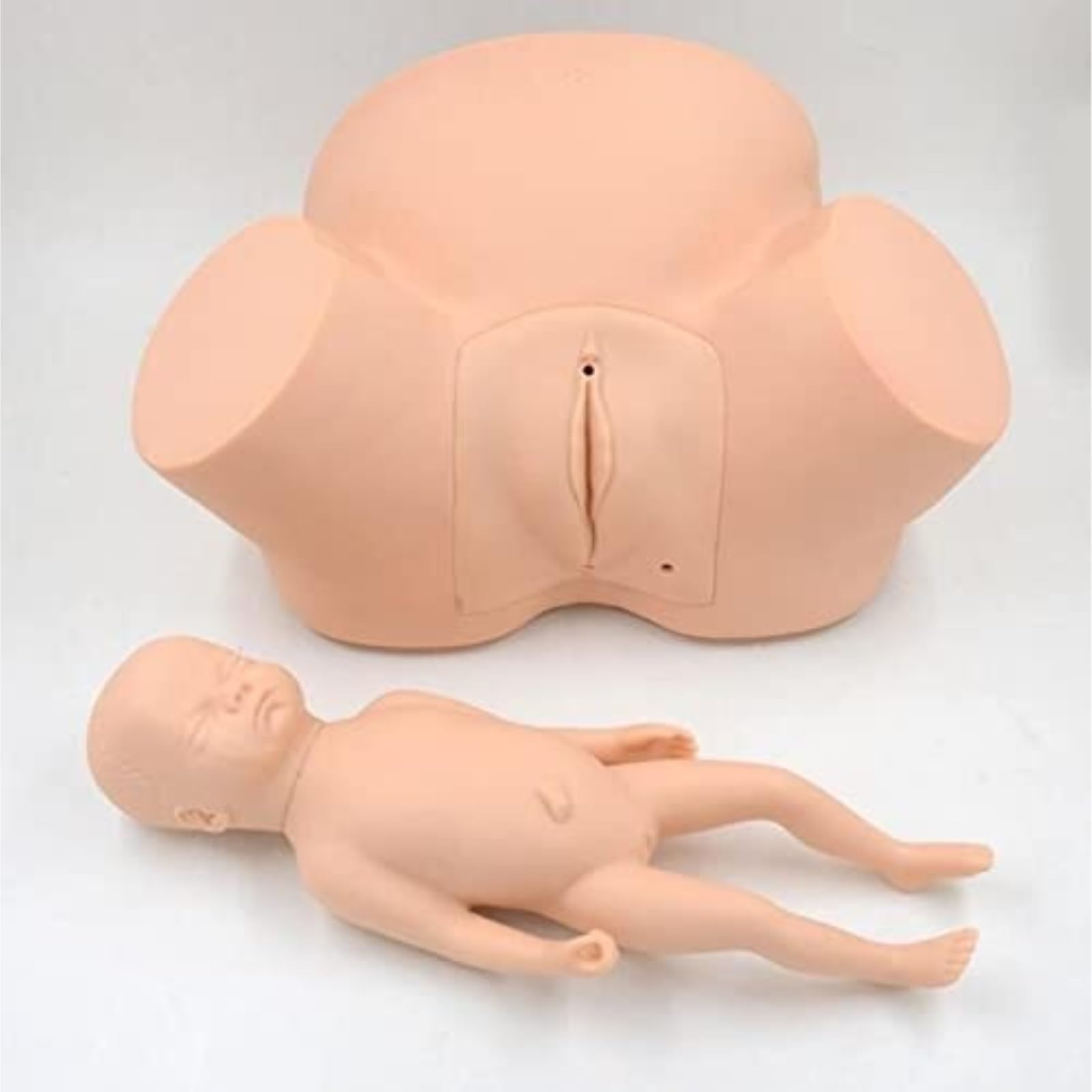 Model Anatomii Człowieka Model Demonstracyjny Położnictwa Anatomia Symulacja Porodu Lalka Szkolenie Położnych Kobieta W Ciąży Model Anatomiczny