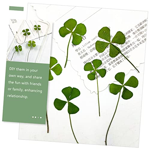 24 piezas de trébol prensado natural para manualidades miniatura 4