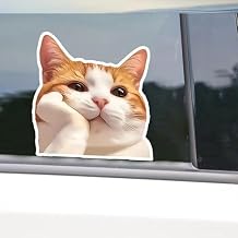 2Pack Cute Orange Cat Daydreaming Vinyl Decal 4.72"x4.72", Adorable Feline Sticker for Car, Window, Laptop, Outdoor&Indoor Use, Waterproof & Durable Car Decal Sticker |#AZ104