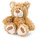 NICI 46506 25 cm I Oso Café Tradicional I Juguete Suave Esponjoso, niños y bebés I Osos de Peluche Rellenos, Color marrón