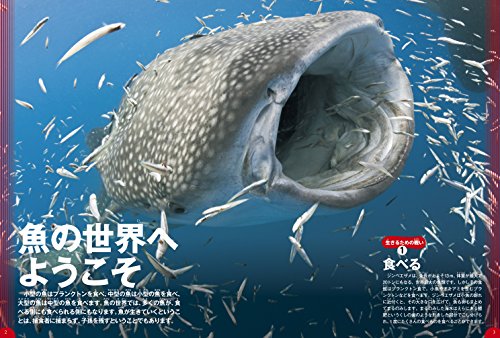 21年最新版 魚図鑑の人気おすすめランキング15選 幼児 子供 大人向け セレクト Gooランキング