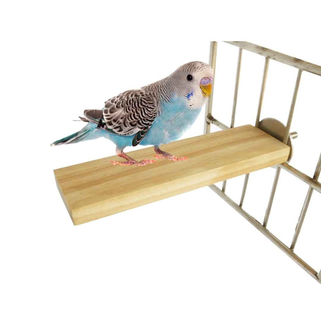 SS Organic Pet Parrot Bird Cage Wooden Perches Platform - Play Toy for Parakeet, Budgie, Cockatiel, Canary, and Small Birds (Size 2.5"x 5.5")(1 Pcs) (B0CH5KD2W4) Amazon Price History, Amazon Price Tracker
