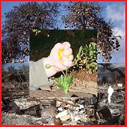 Return of Youth - DIIV