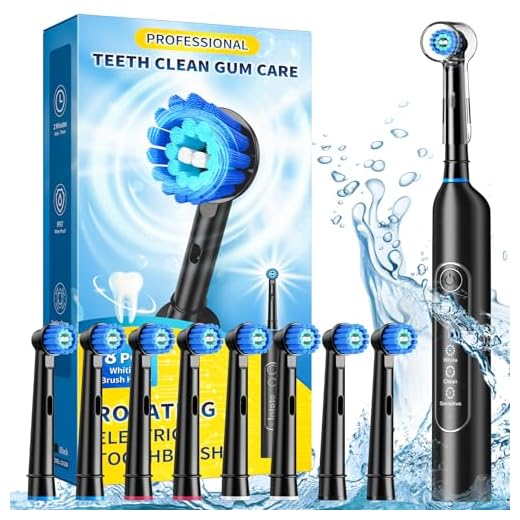 TEETHEORY Rotating Electric Toothbrush for Adults Black