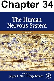 Chapter 034, The Olfactory System