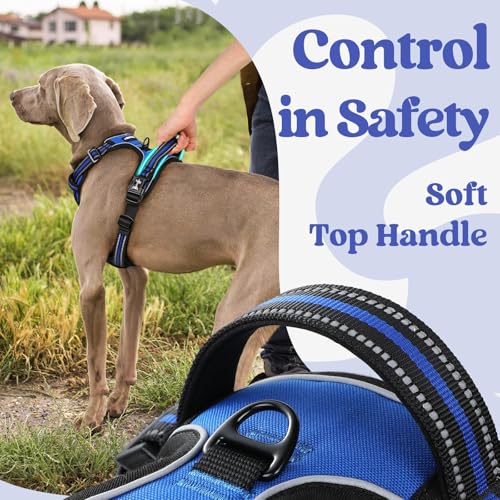 rabbitgoo Dog Harness for Large, Updated Easy On & Off with 3 Buckles | No Pull No Choke, Walking with 2 Clips and Handle, Adjustable Soft Reflective, Blue, Large - Image 5