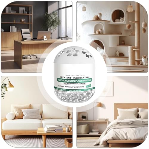 Accessoires de purification naturels d'air pour la maison avec base végétale - 5