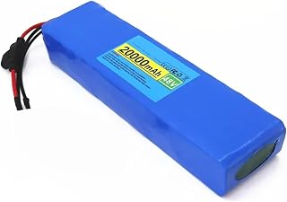 48V 20Ah 13S2P E-Bike-Akku, Ersatzakku Für Elektrofahrräder, Kompatibel Mit 0~1000W E-Bike-/Elektroroller-Motoren, Mit BMS Und Ladegerät XT60+DC