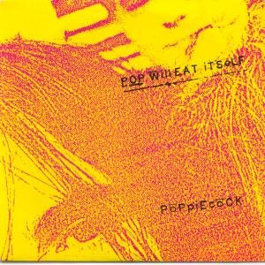 Pochette de POPPIECOCK 7" (45) UK CHAPTER 22 1986 5 TRACK FEATURING BLACK COUNTRY CHAINSTORE MASSACREEE,MONOGAMY,OH GREBO I THINK I LOVE YOU,TITANIC CLOWN AND B-B-B-BBREAKDOWN (CHAP9) PIC SLEEVE