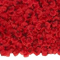 Algopix Similar Product 8 - BESKIT 3000 PCS Dark Red Artificial