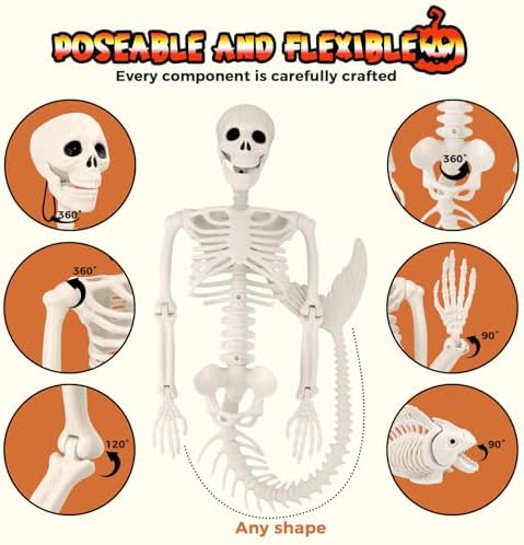 51TLIvMZOmL._AC_ Mermaid Skeleton