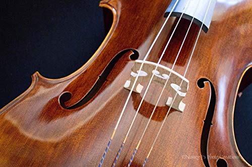 Cello Photography Unframed Stringed Instrument Photo Classical Musician Gift For Cellist Symphony Orchestra Art Music Teacher Brown Silver Black 5X7 8X12 12X18 16X24 20X30 #TOP26