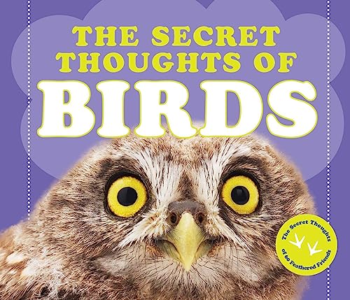 The Secret Thoughts of Birds (Secret Thoughts Series)