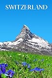  Switzerland: Switzerland travel notebook journal, 100 pages, contains German expressions, a perfect Switzerland gift or to write your own Switzerland travel guide.
