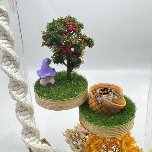 Jumping Spider - Accesorios de recinto de madera natural hecha a mano con montaje magnético para escalada, descanso y exploración -2