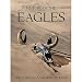 History of the Eagles [Blu-ray]