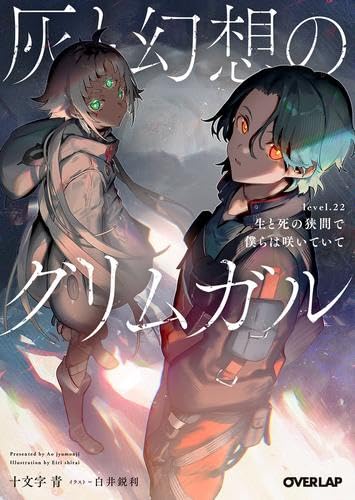 Amazon.co.jp: 灰と幻想のグリムガル ライトノベル 全24冊セット